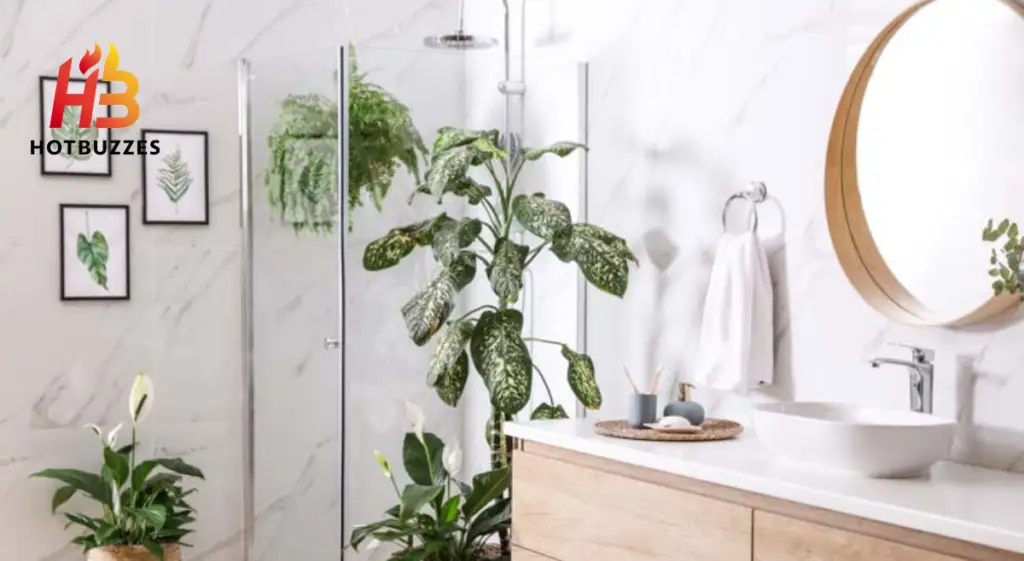 Best Indoor Plants for Bathrooms