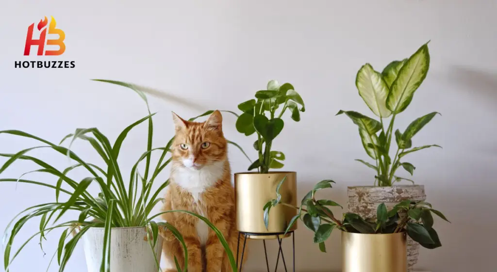 Pet Friendly Houseplants Safe for Cats and Dogs