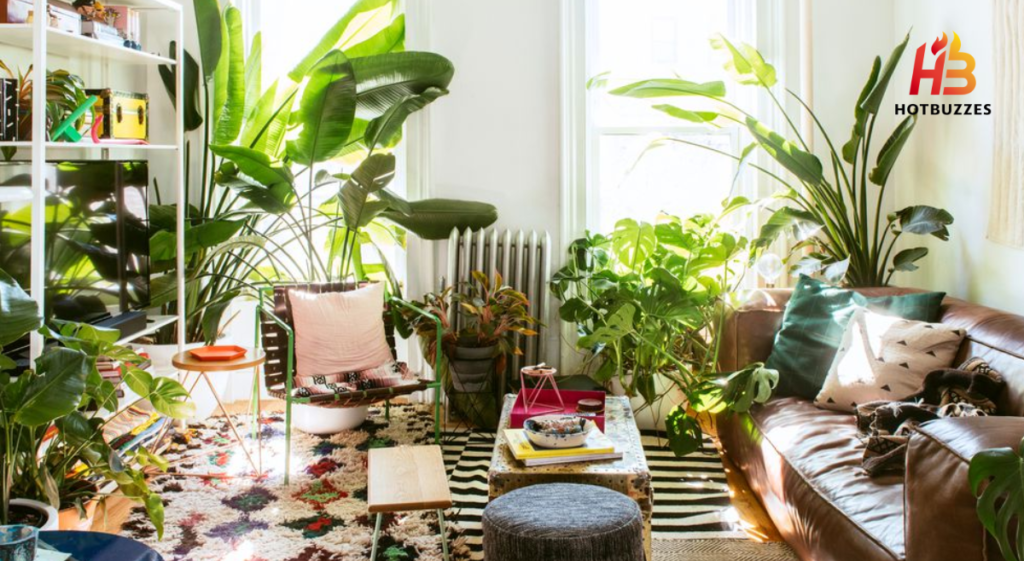 Plant Decor Ideas That Are Both Unique and Budget-Friendly