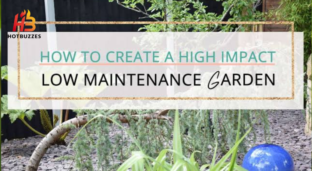 Tips to Create a Low Maintenance High Impact Garden