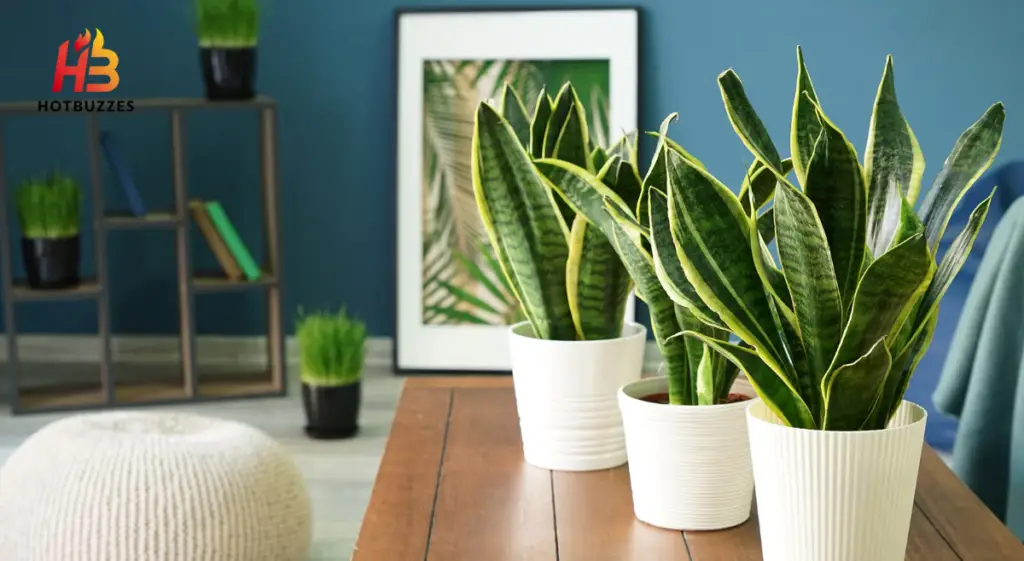 Air purifying plants: Best air purifying indoor plants