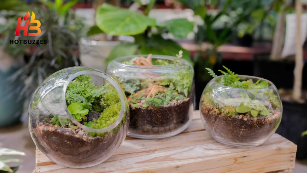 Best Plants for a Closed Terrarium