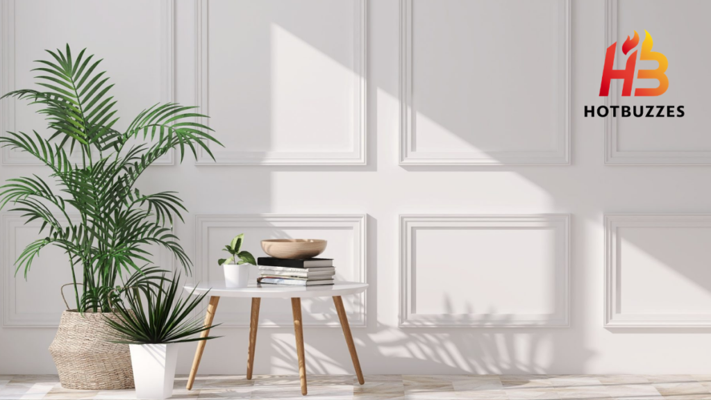 Houseplants for Photographers 2026