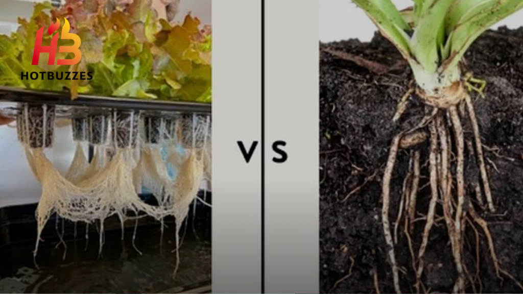 Water Roots vs Soil roots
