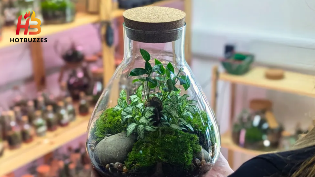 how to build a terrarium for beginners