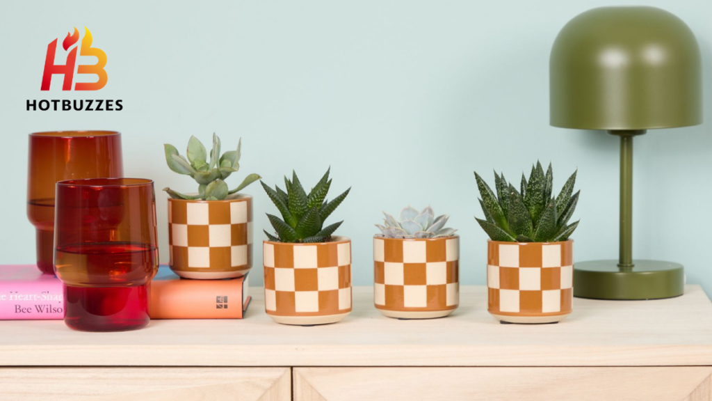 is houseplant worth it 2026