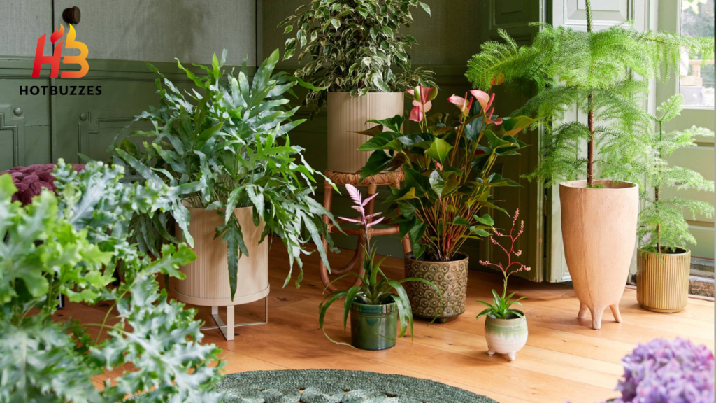 Best Pots for Trending Houseplants