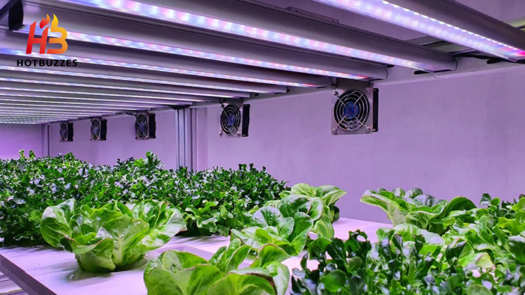 Grow Lights and Smart Tech For Indoor Plants