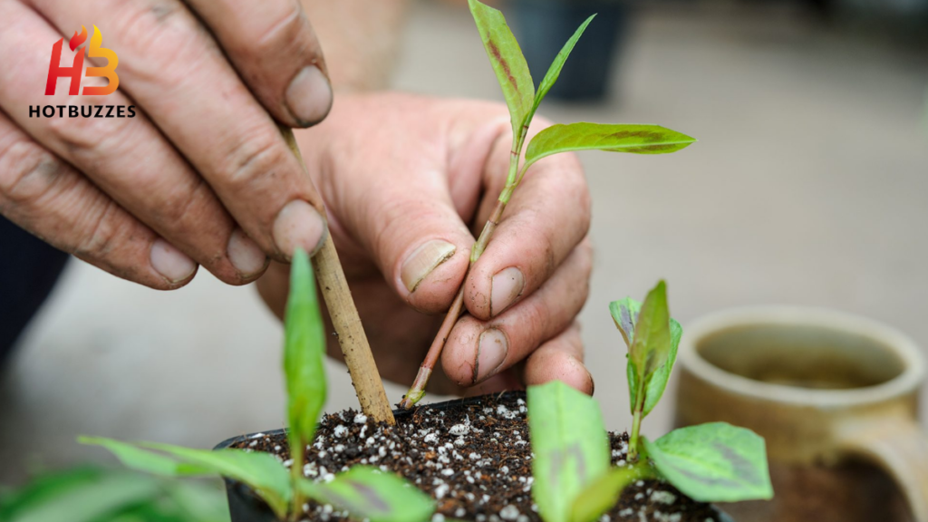 Propagation mistakes to avoid