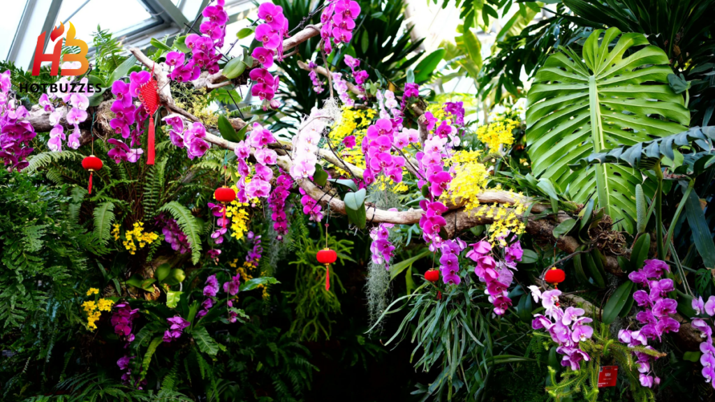 What Rare Plants Actually Cost to Grow