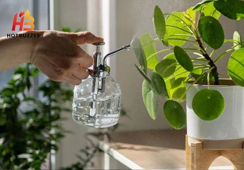Understanding Watering Needs